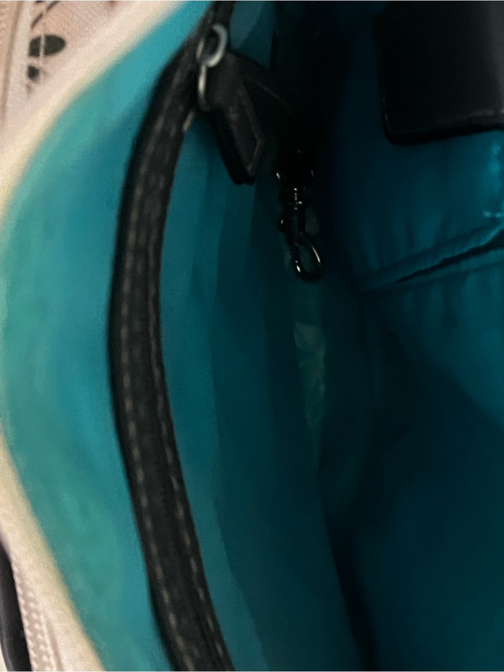 Lily Bloom Crossbody Bag - Picture 9 of 11